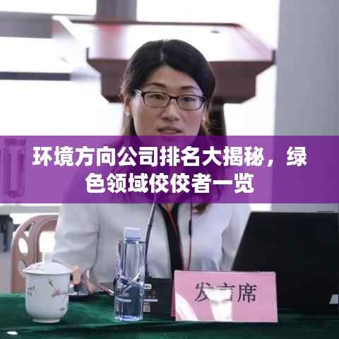 环境方向公司排名大揭秘,绿色领域佼佼者一览