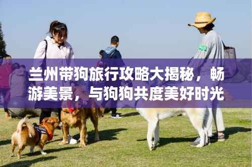 兰州带狗旅行攻略大揭秘,畅游美景,与狗狗共度美好时光!