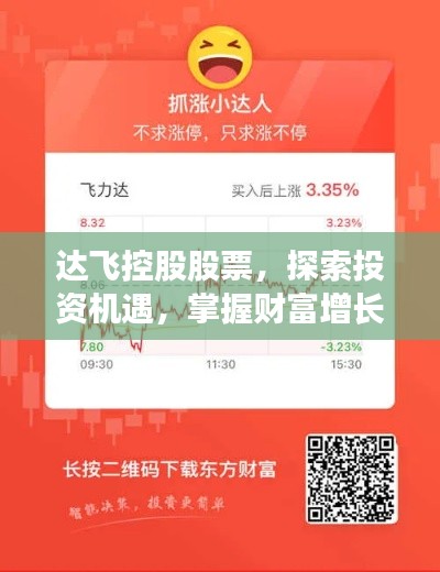 达飞控股股票,探索投资机遇,掌握财富增长新动力