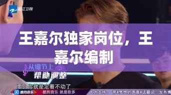 王嘉尔独家岗位,王嘉尔编制