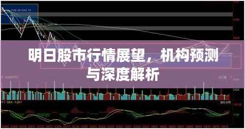 齿白唇红 第3页