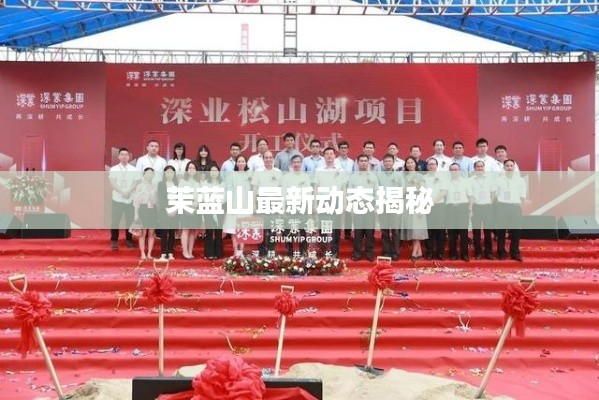 茉蓝山最新动态揭秘