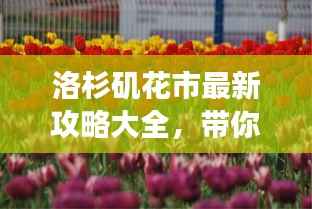 洛杉矶花市最新攻略大全,带你畅游花海世界!