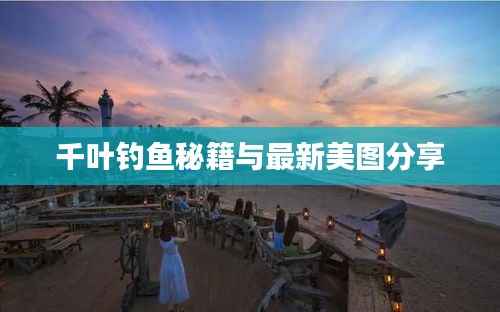 千叶钓鱼秘籍与最新美图分享