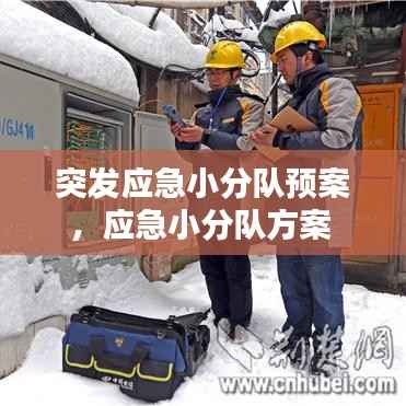 突发应急小分队预案,应急小分队方案