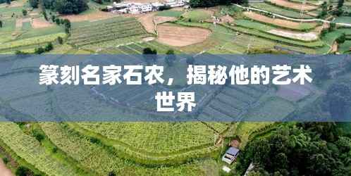 篆刻名家石农,揭秘他的艺术世界