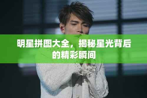 明星拼图大全,揭秘星光背后的精彩瞬间