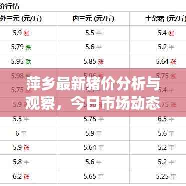 萍乡最新猪价分析与观察，今日市场动态揭秘