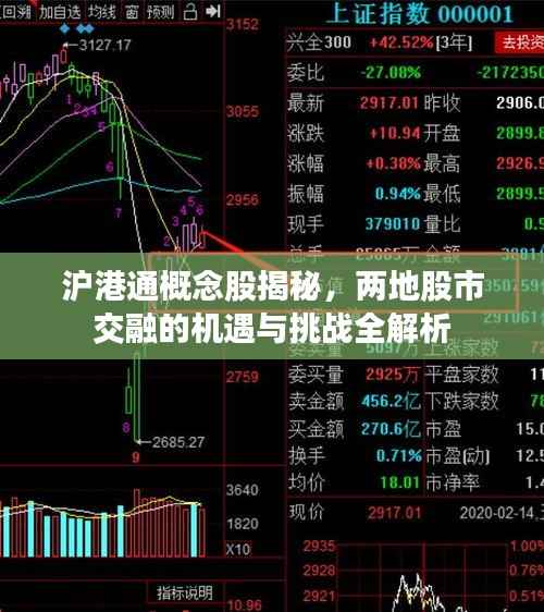 沪港通概念股揭秘,两地股市交融的机遇与挑战全解析