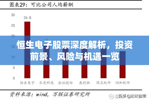 恒生电子股票深度解析,投资前景、风险与机遇一览