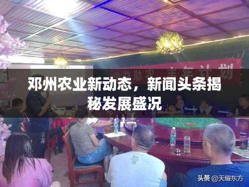 邓州农业新动态,新闻头条揭秘发展盛况