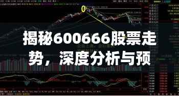 揭秘600666股票走势,深度分析与预测