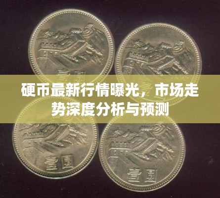 硬币最新行情曝光,市场走势深度分析与预测