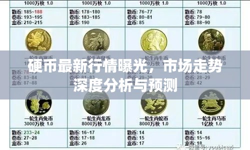 硬币最新行情曝光,市场走势深度分析与预测