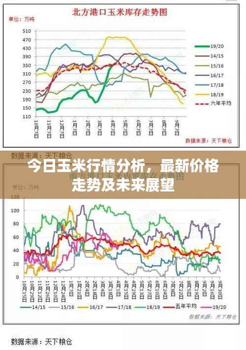 今日玉米行情分析,最新价格走势及未来展望