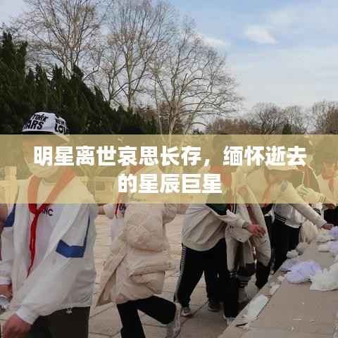 明星离世哀思长存,缅怀逝去的星辰巨星