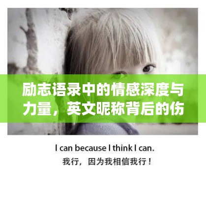 公司概况 第60页