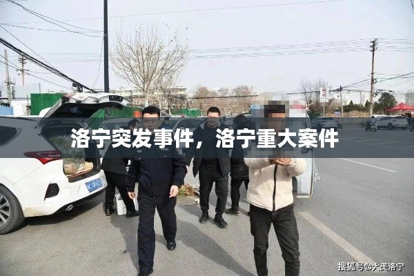 洛宁突发事件，洛宁重大案件 