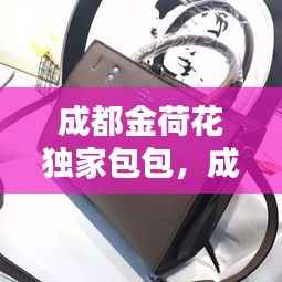 成都金荷花独家包包，成都金荷花批发价格表 