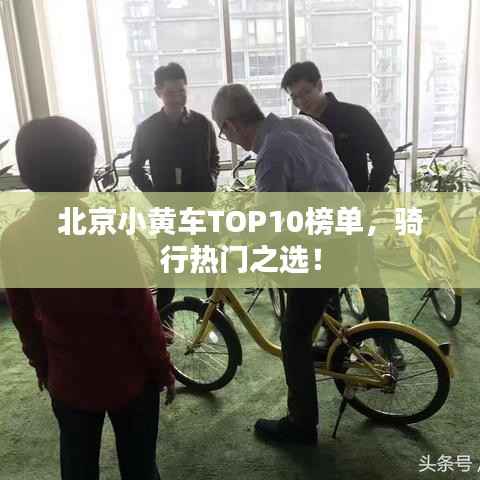 北京小黄车TOP10榜单,骑行热门之选!