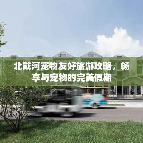 大张旗鼓 第2页