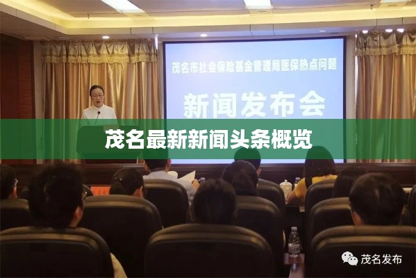 政策法规 第59页