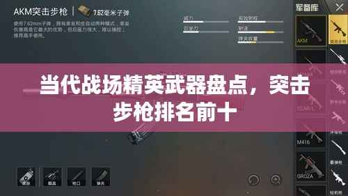 当代战场精英武器盘点,突击步枪排名前十