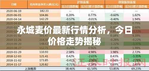 永城麦价最新行情分析,今日价格走势揭秘