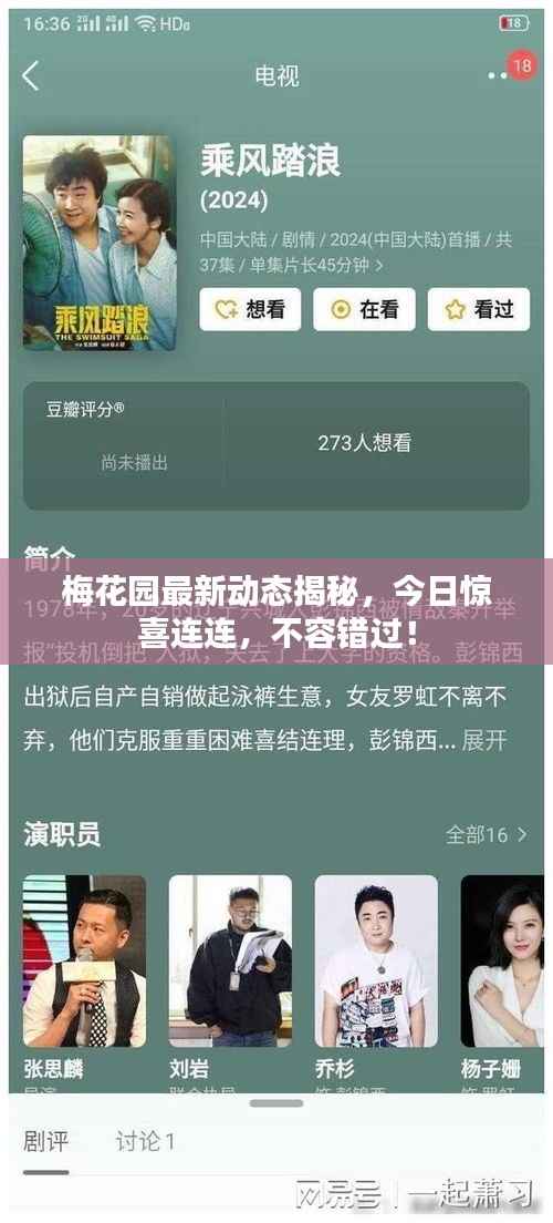 梅花园最新动态揭秘,今日惊喜连连,不容错过!