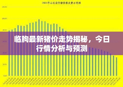 临朐最新猪价走势揭秘,今日行情分析与预测