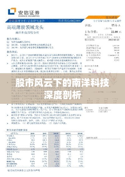 股市风云下的南洋科技深度剖析