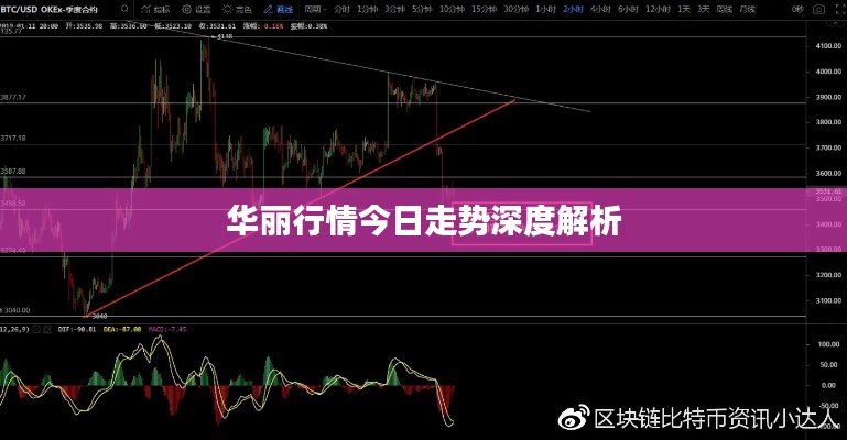 华丽行情今日走势深度解析