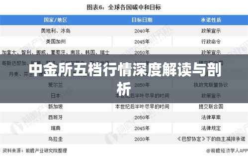 中金所五档行情深度解读与剖析